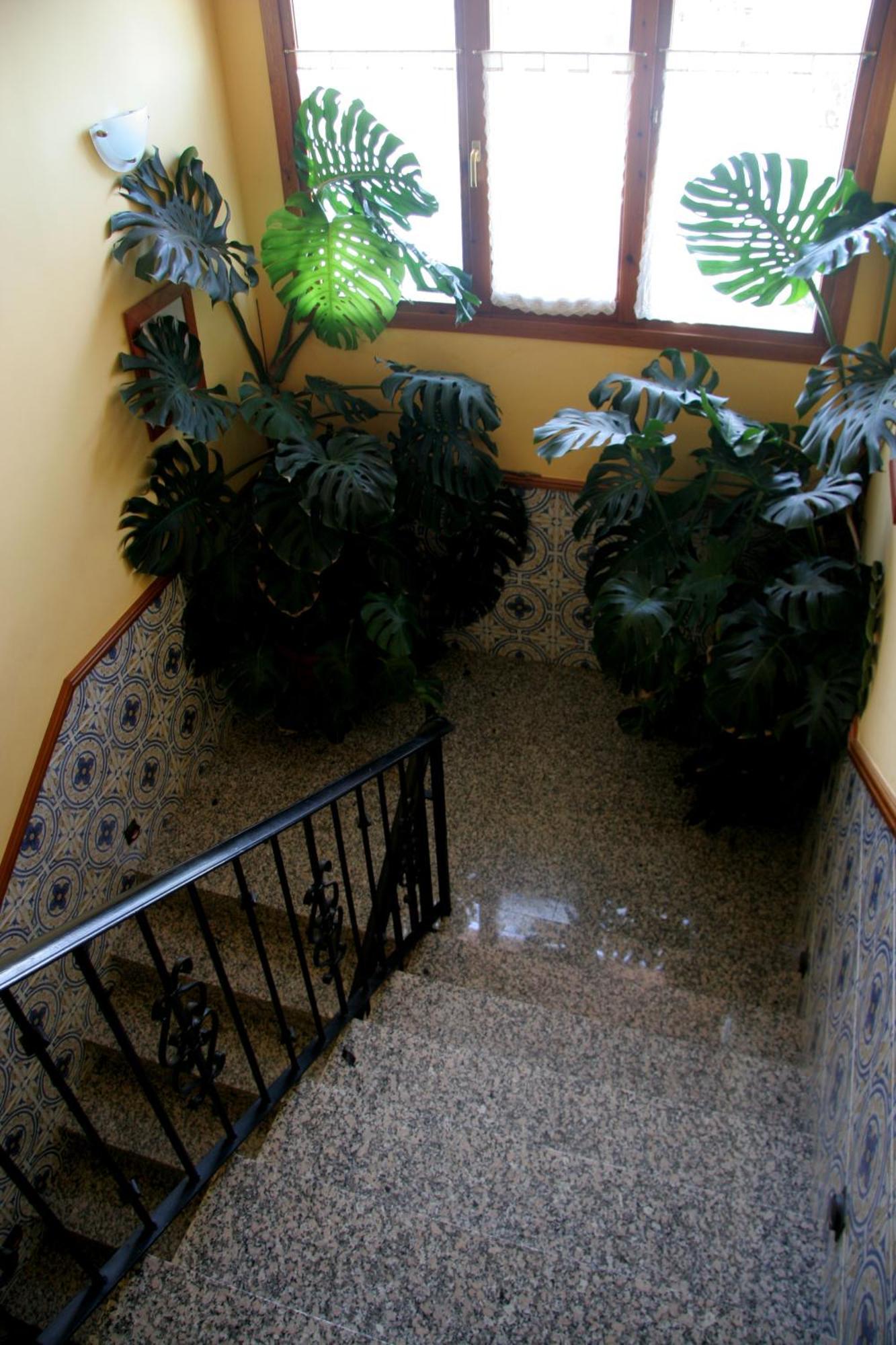 Hostal Casa Barranco Castejon del Puente Exterior photo